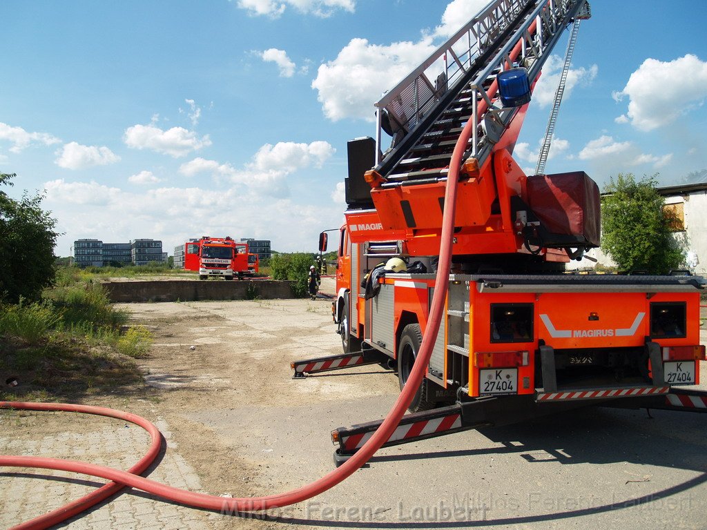 Feuer Koeln Ossendorf Butzweiler Hof neben IKEA P085.JPG